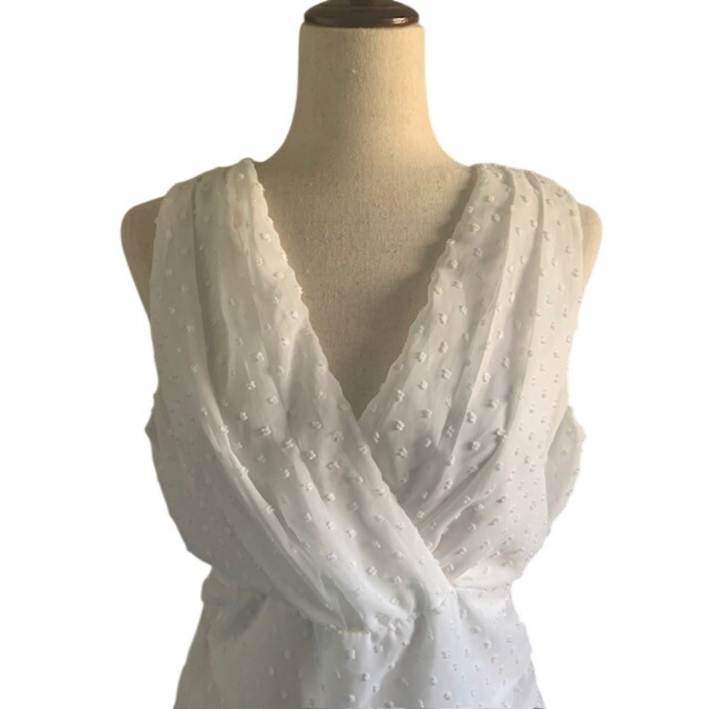 NWT Romantic Coquette Swiss Dot Ivory Ruched V Neck Mini Dress L Bridal Shower L - Picture 4 of 12
